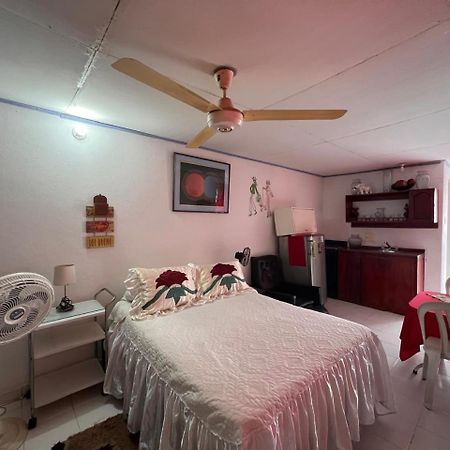Apartamentos Y Estudios Manga Real Cartagena 外观 照片